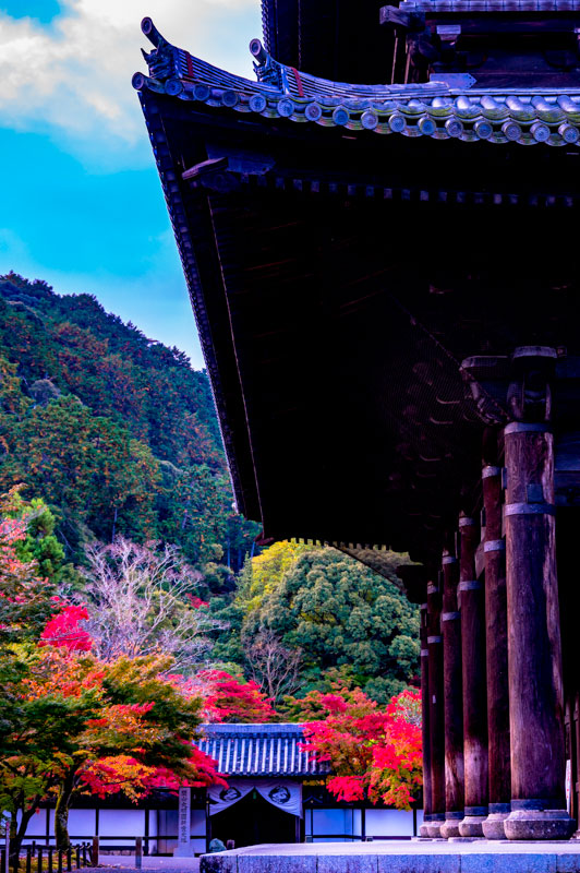 imtakt photo beautiful kyoto aki