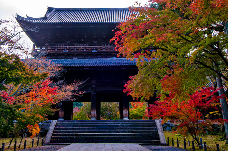 imtakt photo beautiful kyoto aki