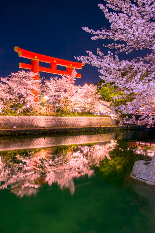 imtakt photo beautiful kyoto aki