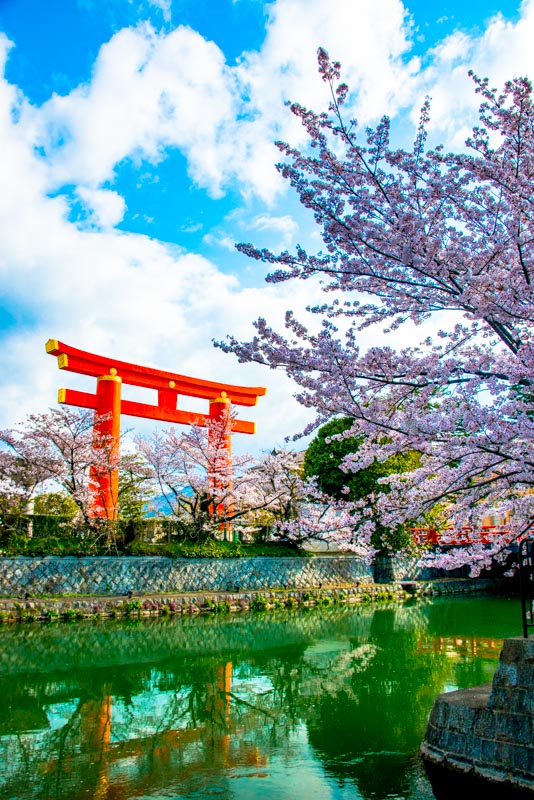 imtakt photo beautiful kyoto aki