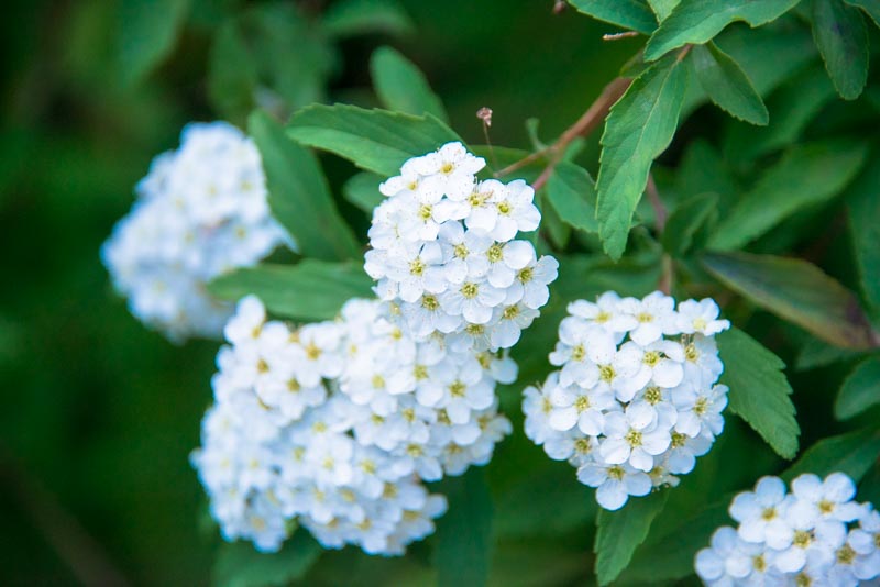 imtakt photo beautiful kyoto aki