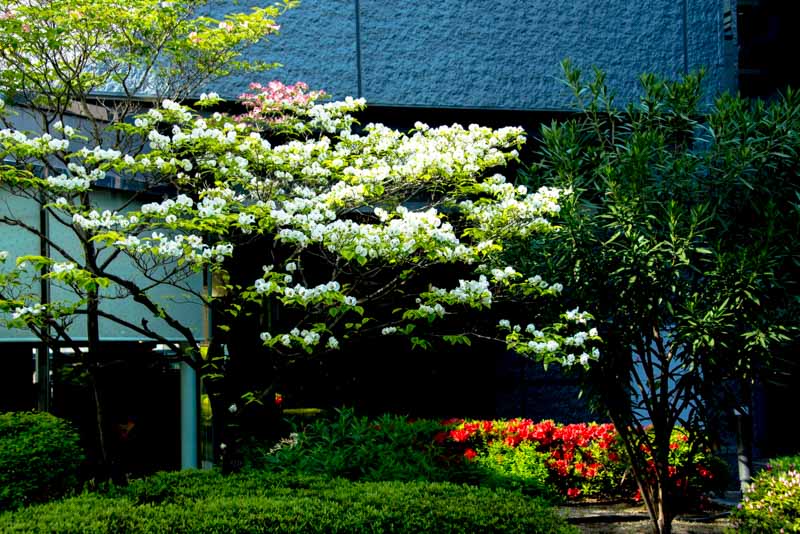 imtakt photo beautiful kyoto aki