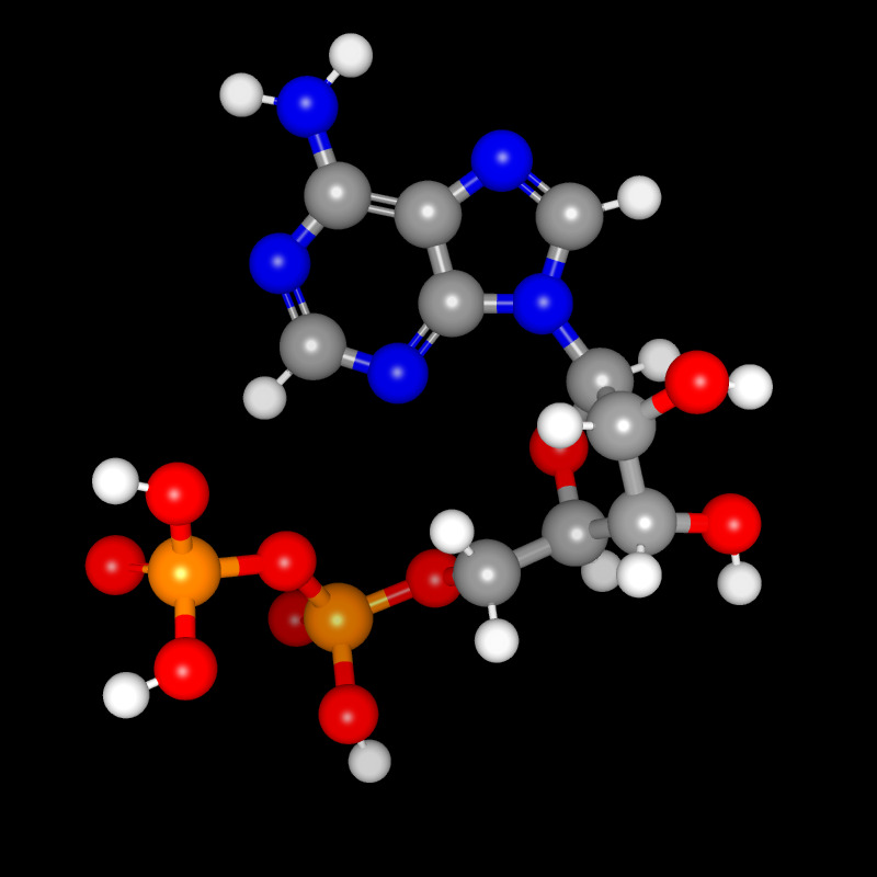 Molecules in Chromatography - ADP (JPG)