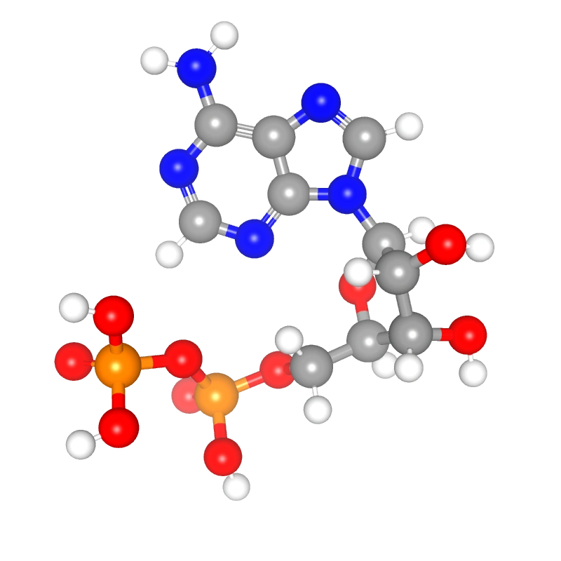 Molecules in Chromatography - ADP (WebP)