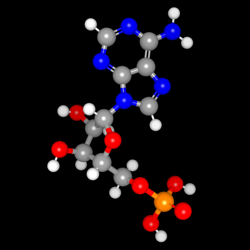 Molecules in Chromatography - AMP (JPG)