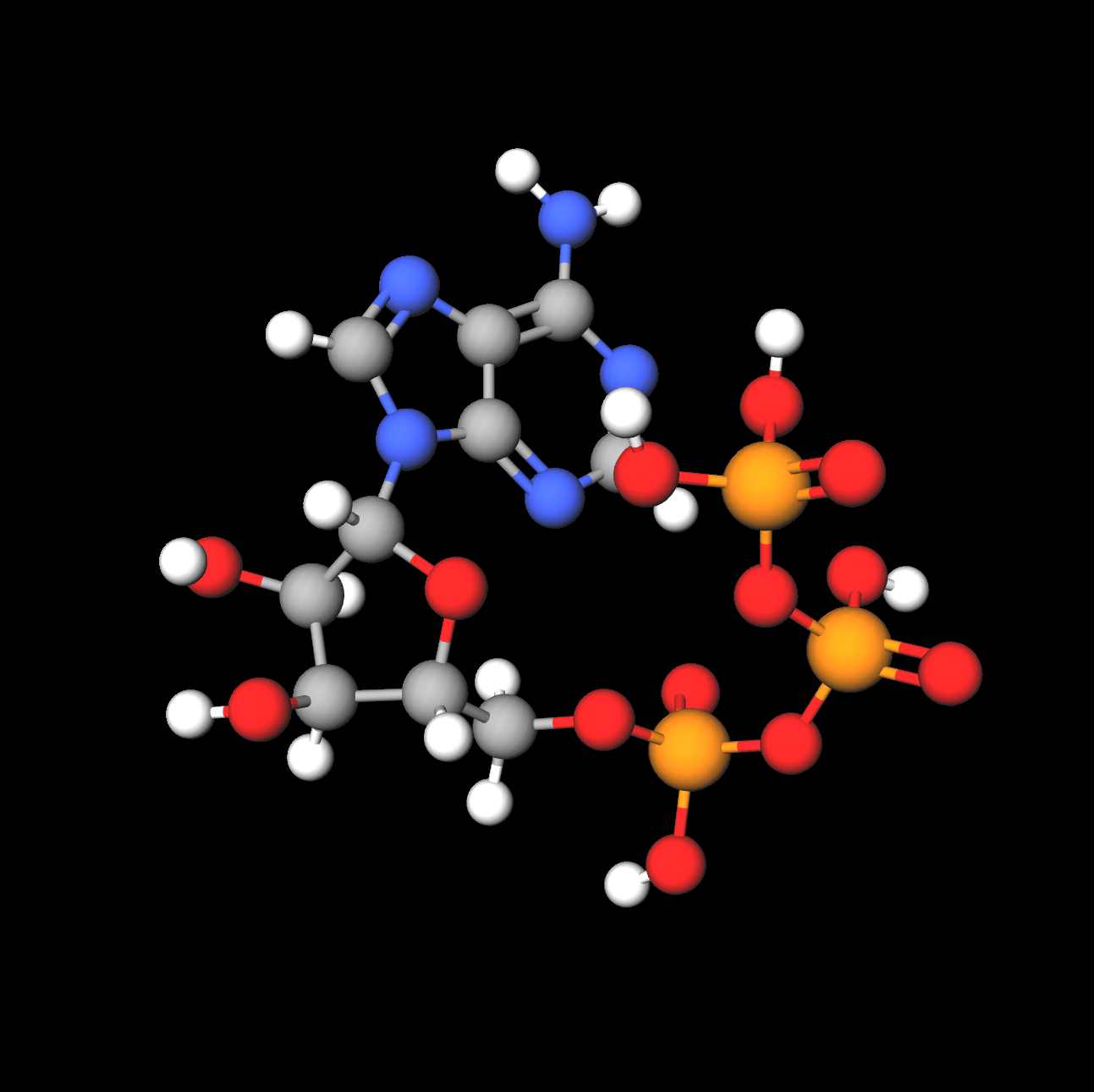 Molecules in Chromatography - ATP (JPG)
