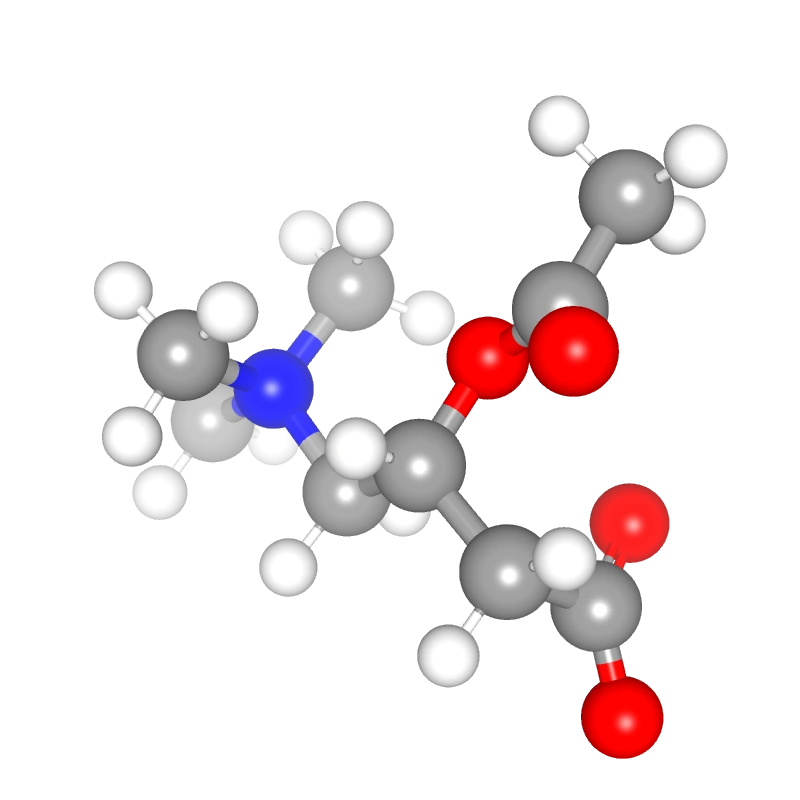 WebP Image