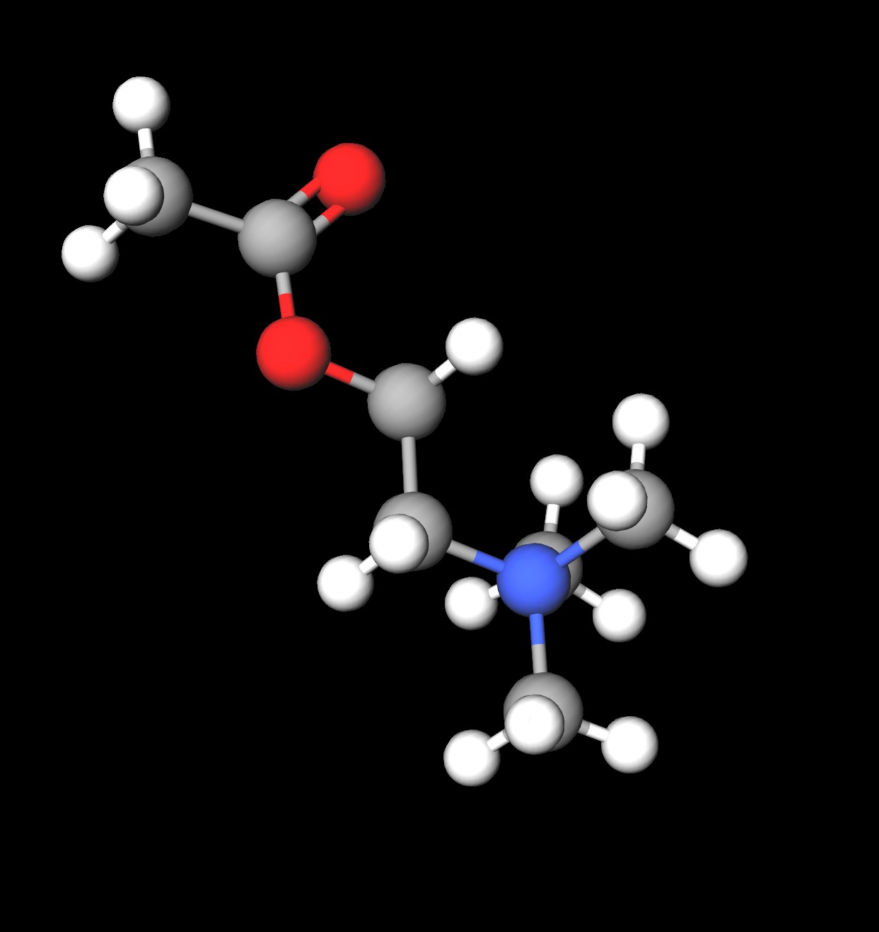 Molecules in Chromatography - Acetylcholine (JPG)