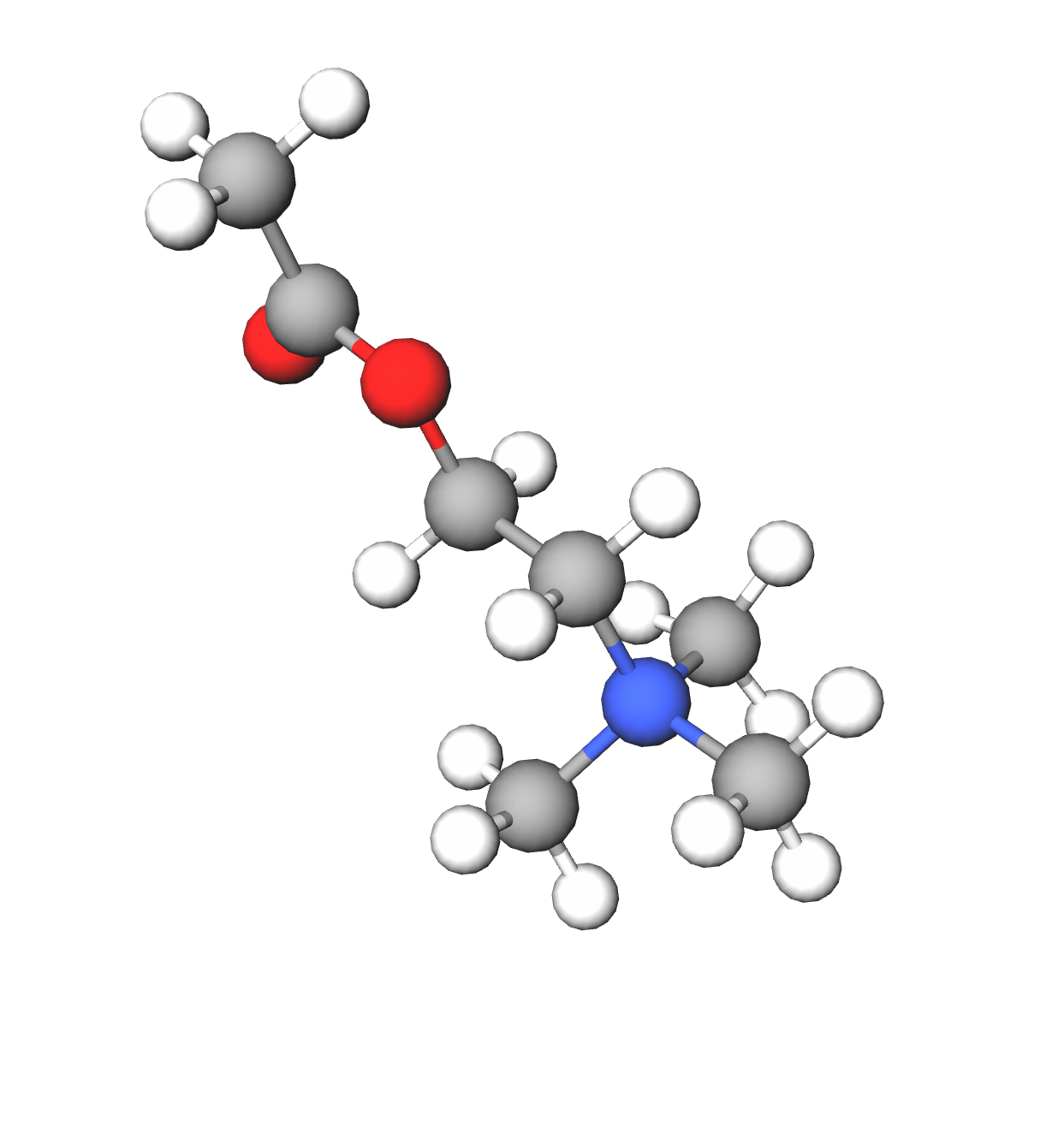 Molecules in Chromatography - Acetylcholine (WebP)