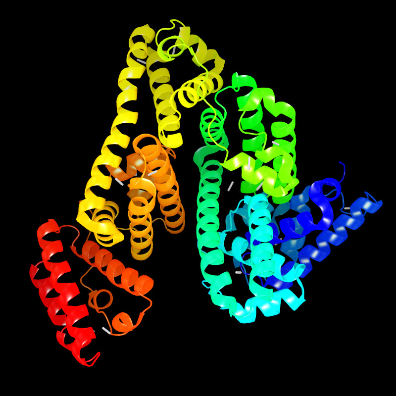 Molecules in Chromatography - BSA (JPG)