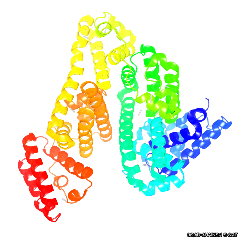 WebP Image