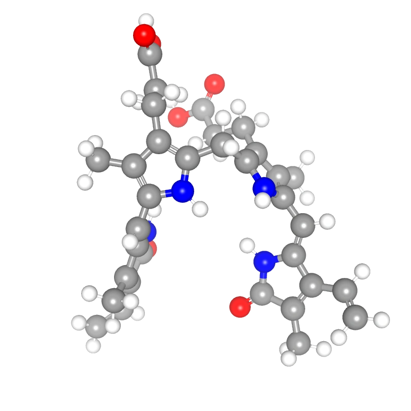 WebP Image
