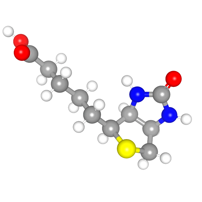 WebP Image