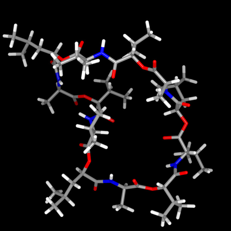 Molecules in Chromatography - Cereulide (JPG)