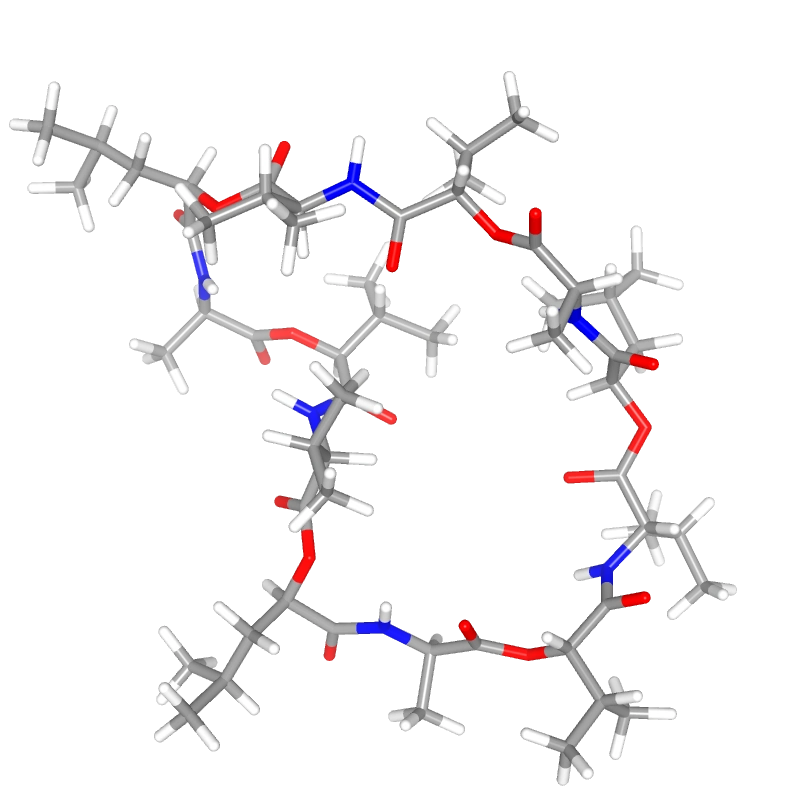 WebP Image