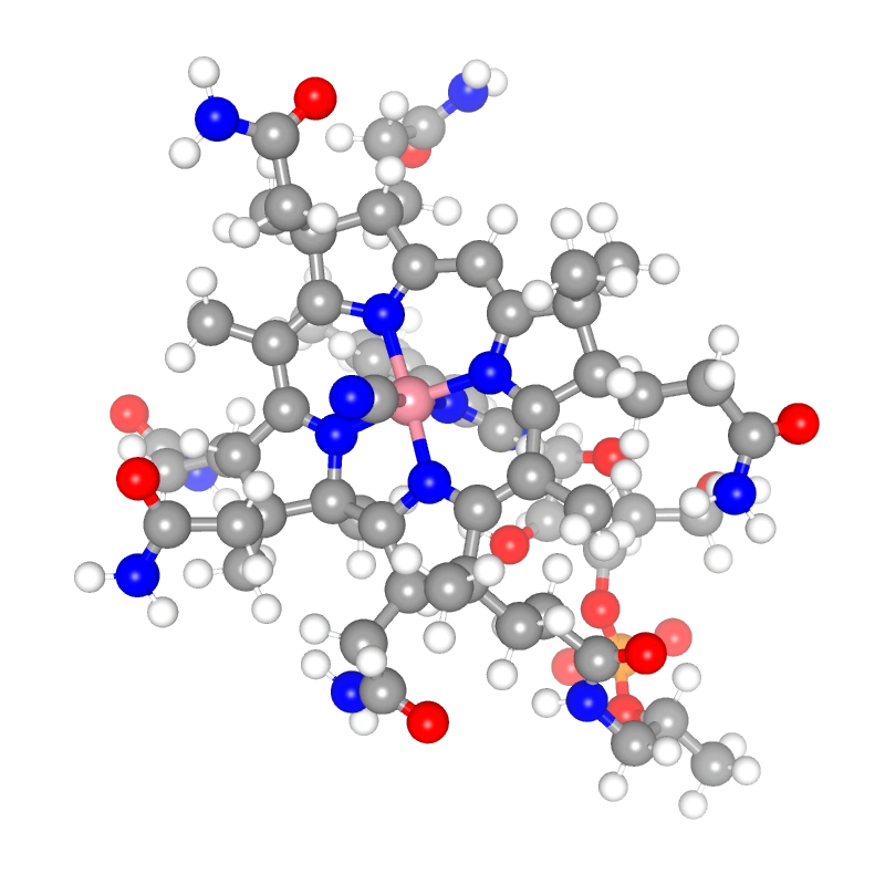 WebP Image
