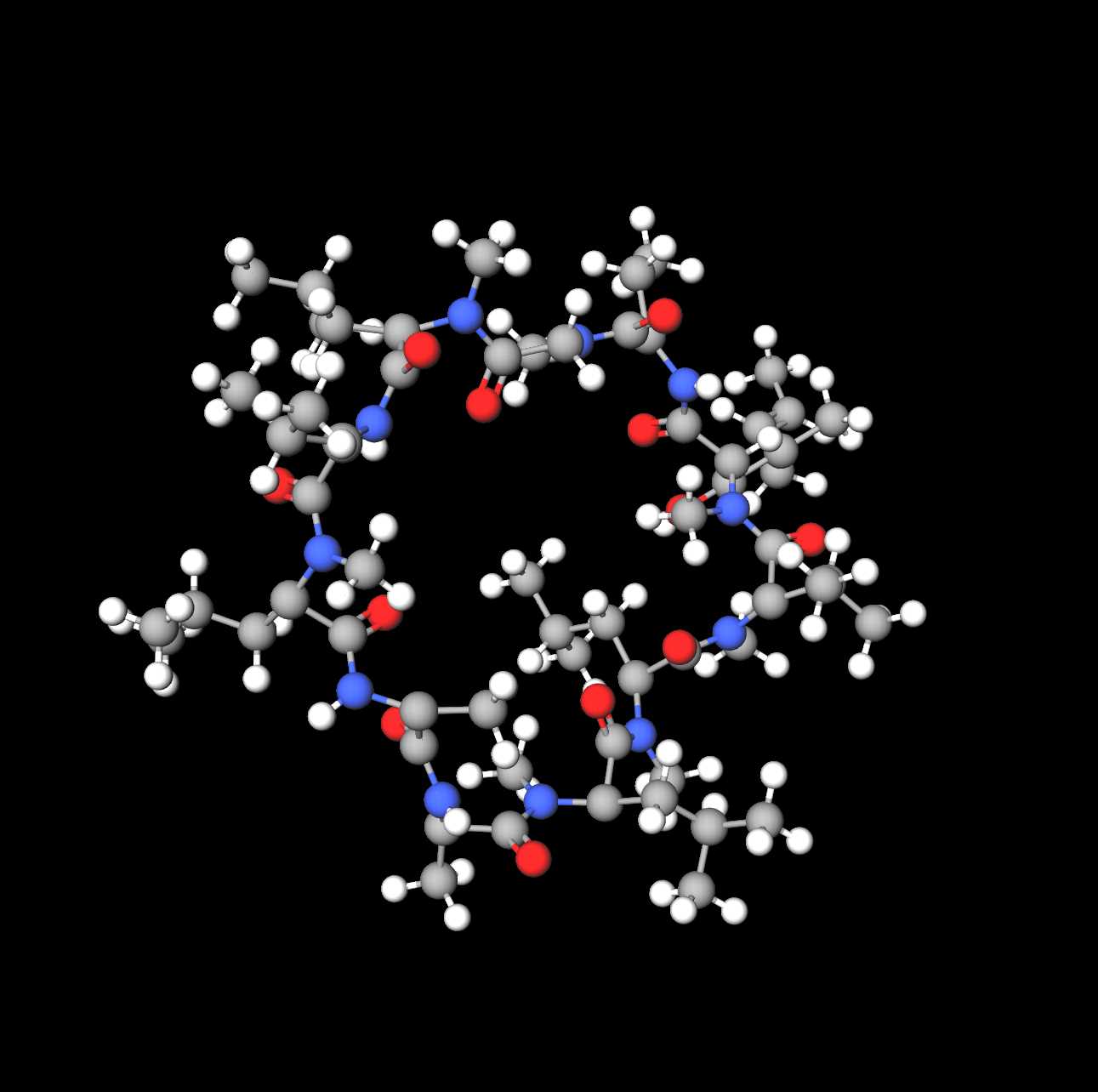 Molecules in Chromatography - Cyclosporin (JPG)