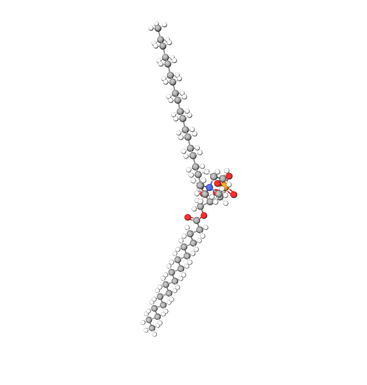 Molecules in Chromatography - DSPC (WebP)