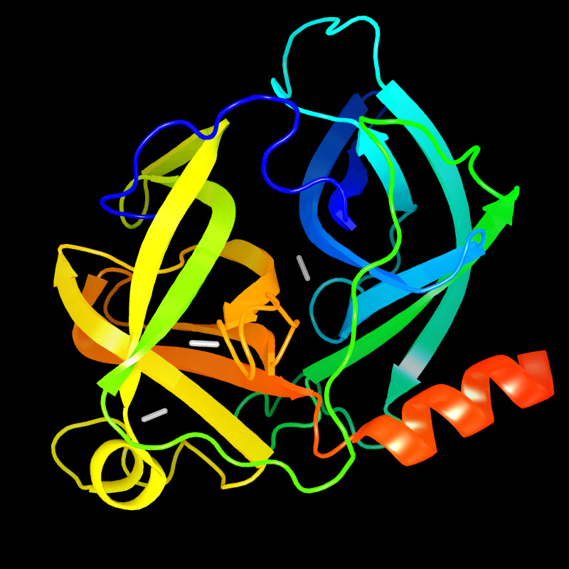 Molecules in Chromatography - Elastase (JPG)