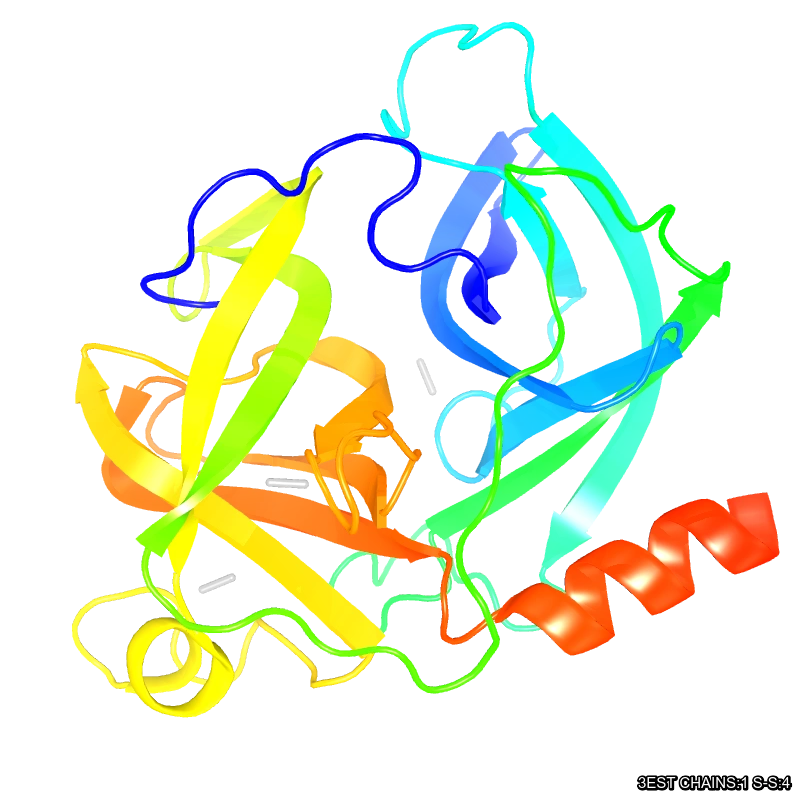 Molecules in Chromatography - Elastase (WebP)