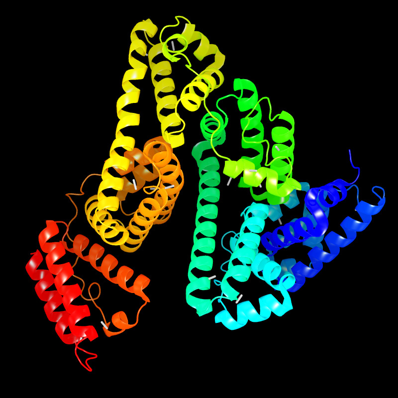 Molecules in Chromatography - HSA (JPG)