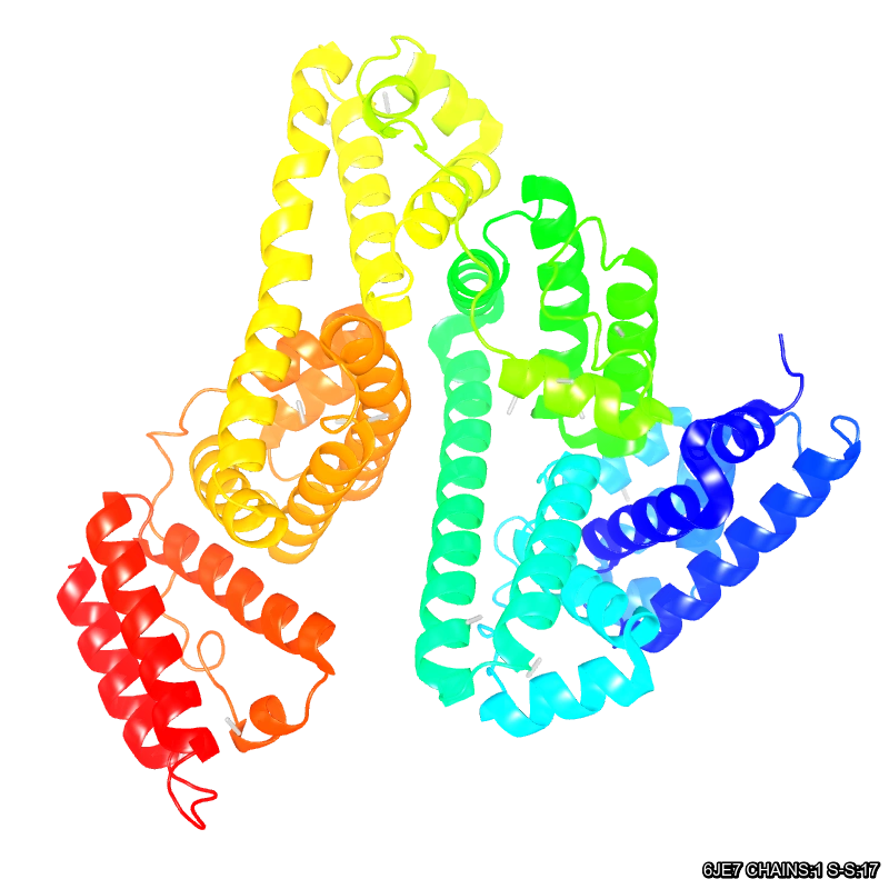 WebP Image