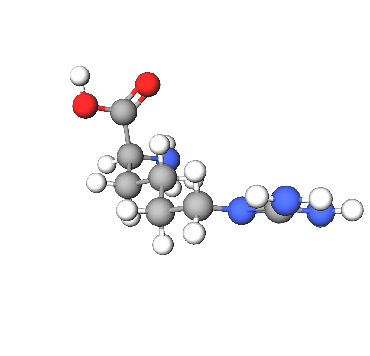 Molecules in Chromatography - Homoarginine (WebP)