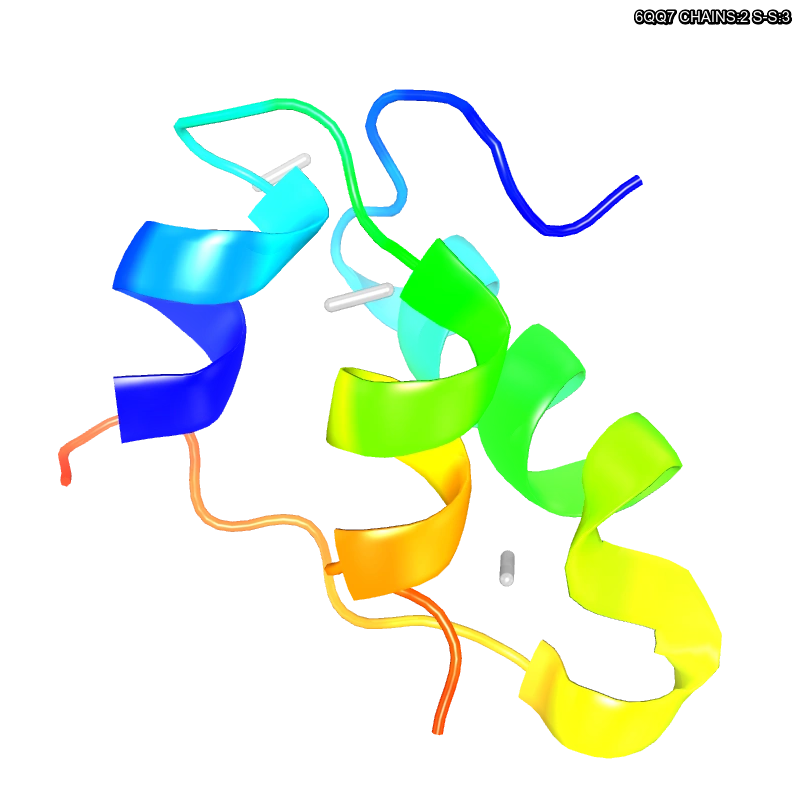 WebP Image