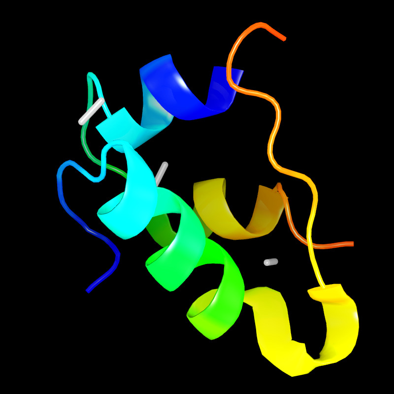 Molecules in Chromatography - Insulin-Human (JPG)