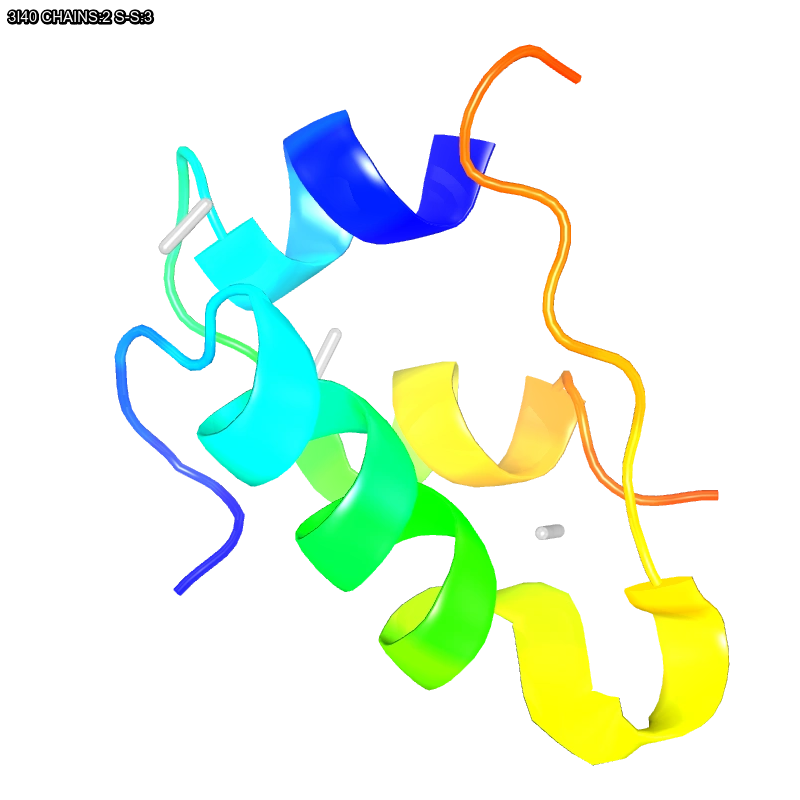 WebP Image
