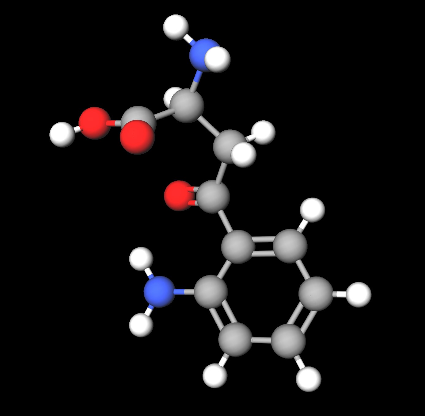 Molecules in Chromatography - Kynurenine (JPG)