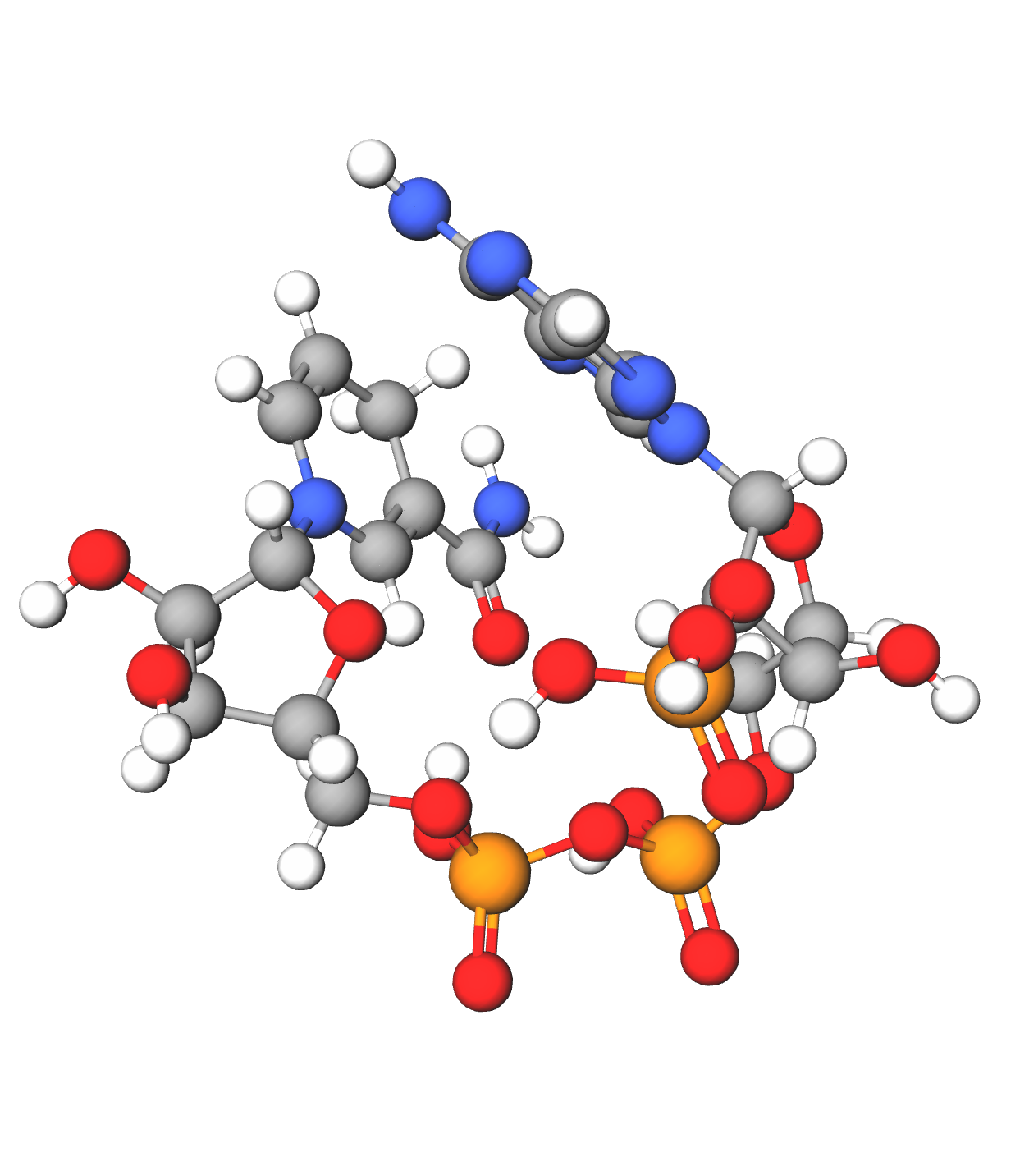 Molecules in Chromatography - NADPH (WebP)