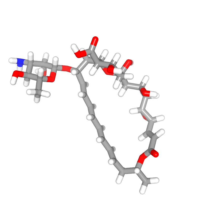 WebP Image