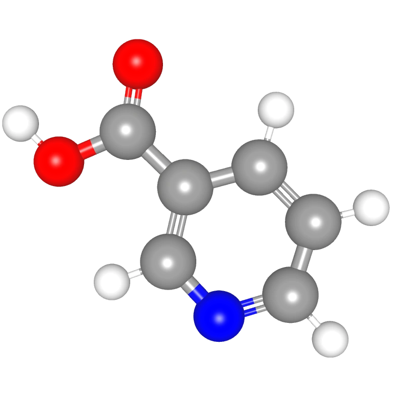 WebP Image