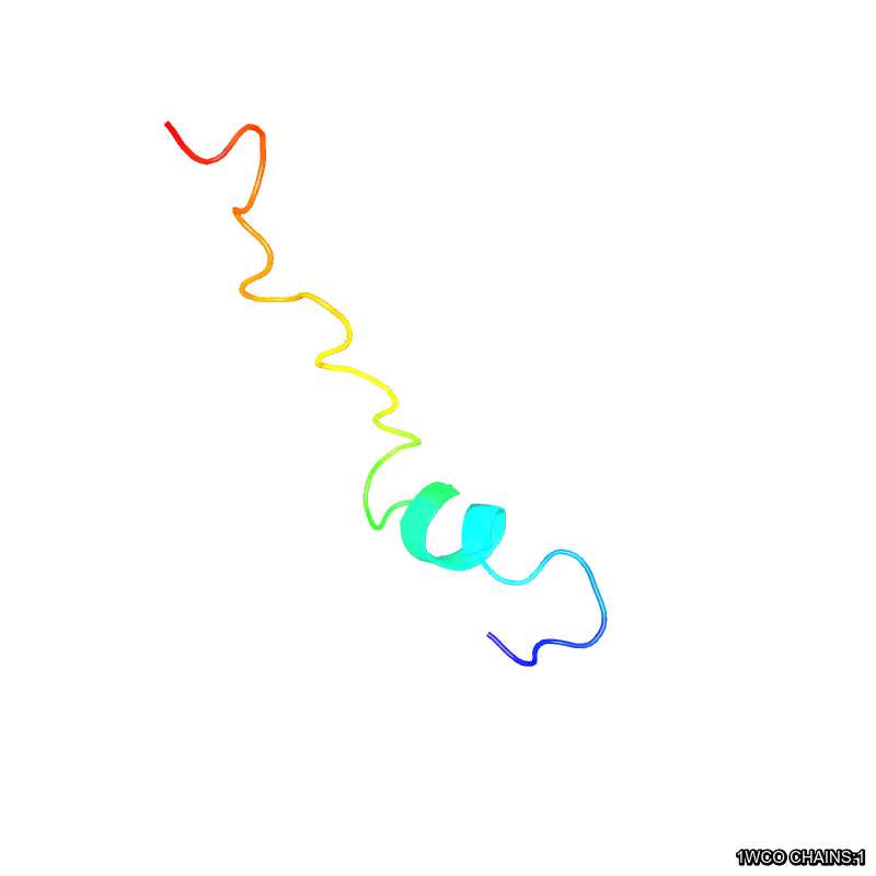 WebP Image