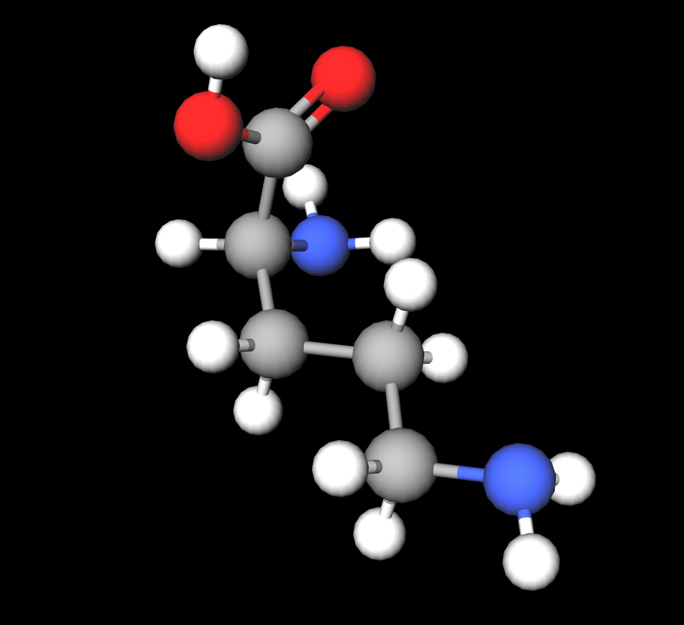 Molecules in Chromatography - Ornithine (JPG)