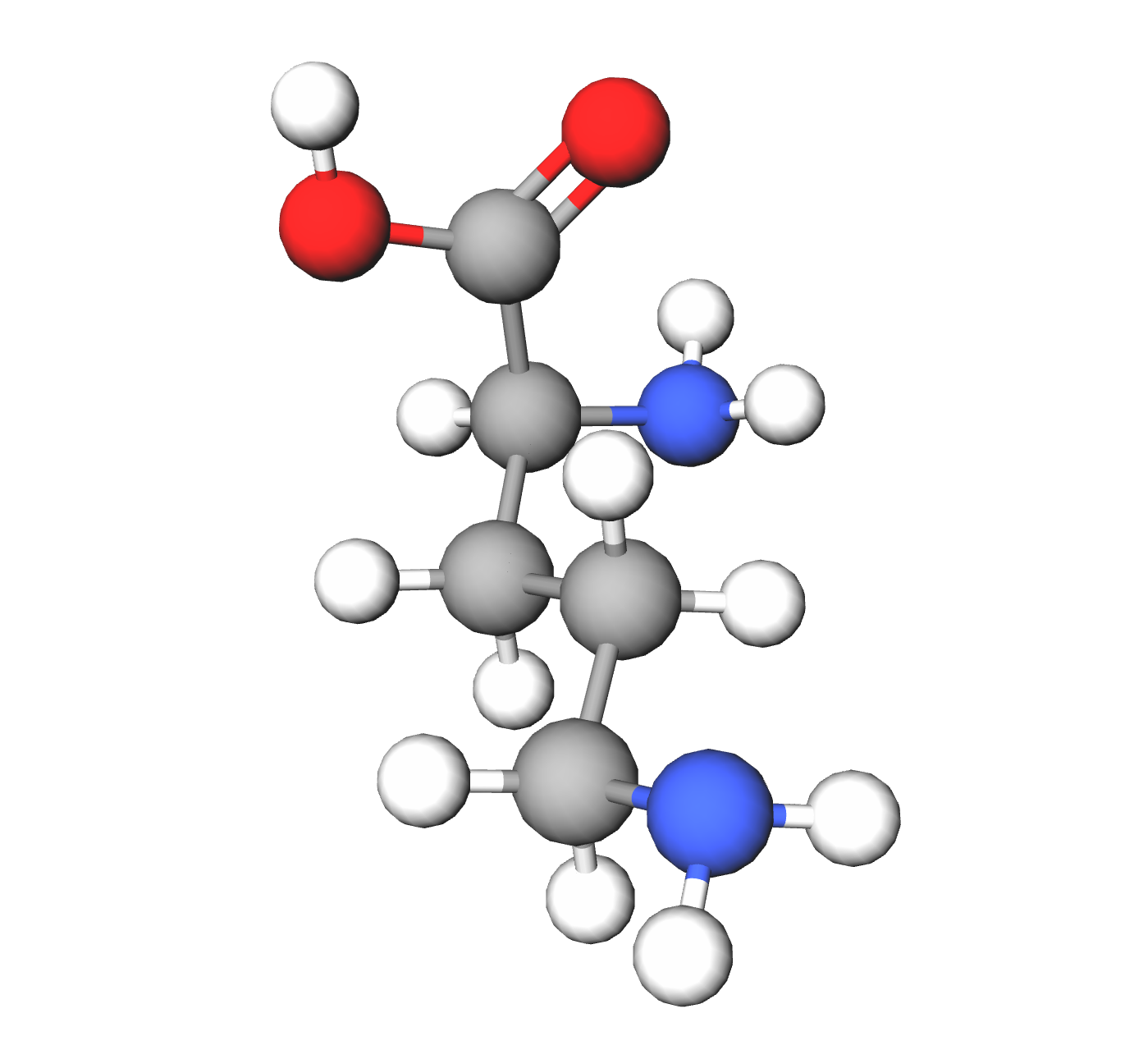 Molecules in Chromatography - Ornithine (WebP)
