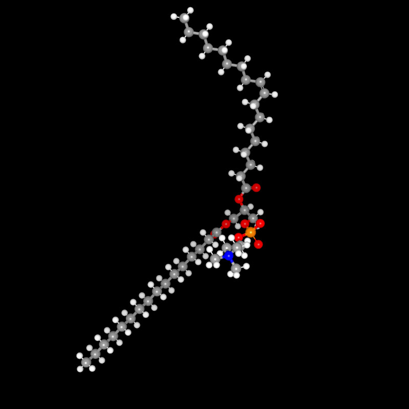 Molecules in Chromatography - Phosphatidylcholine (JPG)
