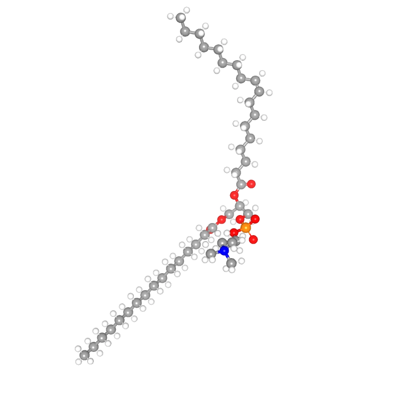 Molecules in Chromatography - Phosphatidylcholine (WebP)