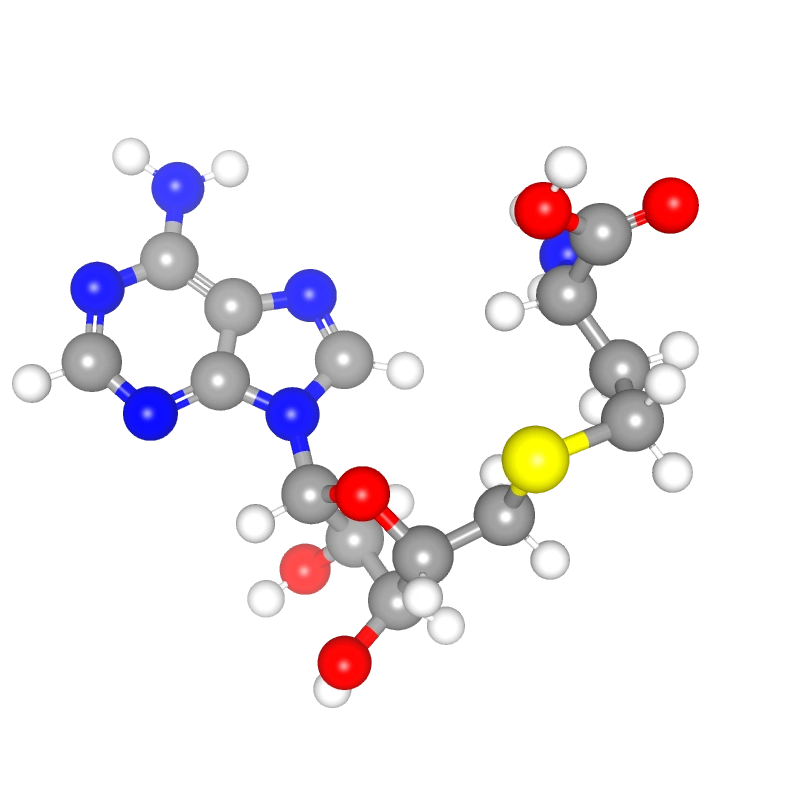 WebP Image