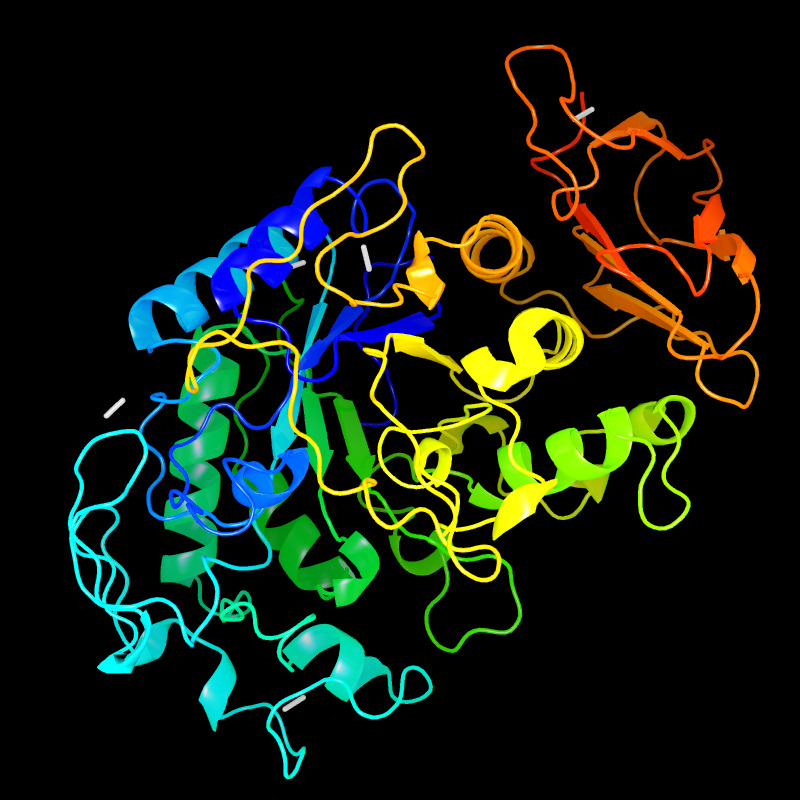 Molecules in Chromatography - alpha-Amylase (JPG)